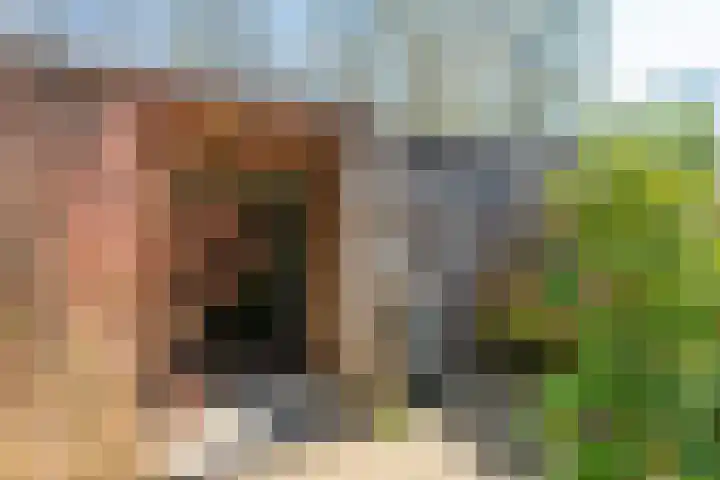 Schoonoordhof 18 Waalre thumbnail 38