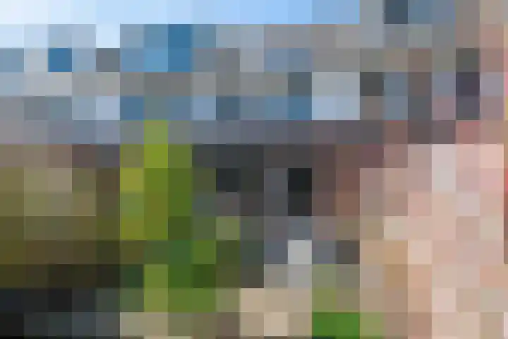 Schoonoordhof 18 Waalre thumbnail 39