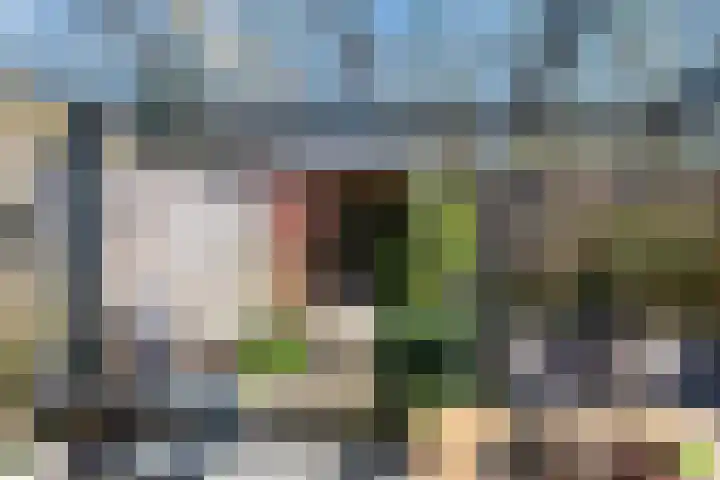 Schoonoordhof 18 Waalre thumbnail 4