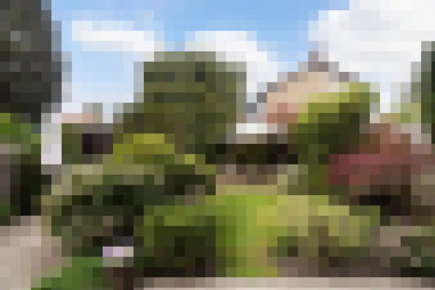 Schoonoordselaan 23 Doorn thumbnail 12