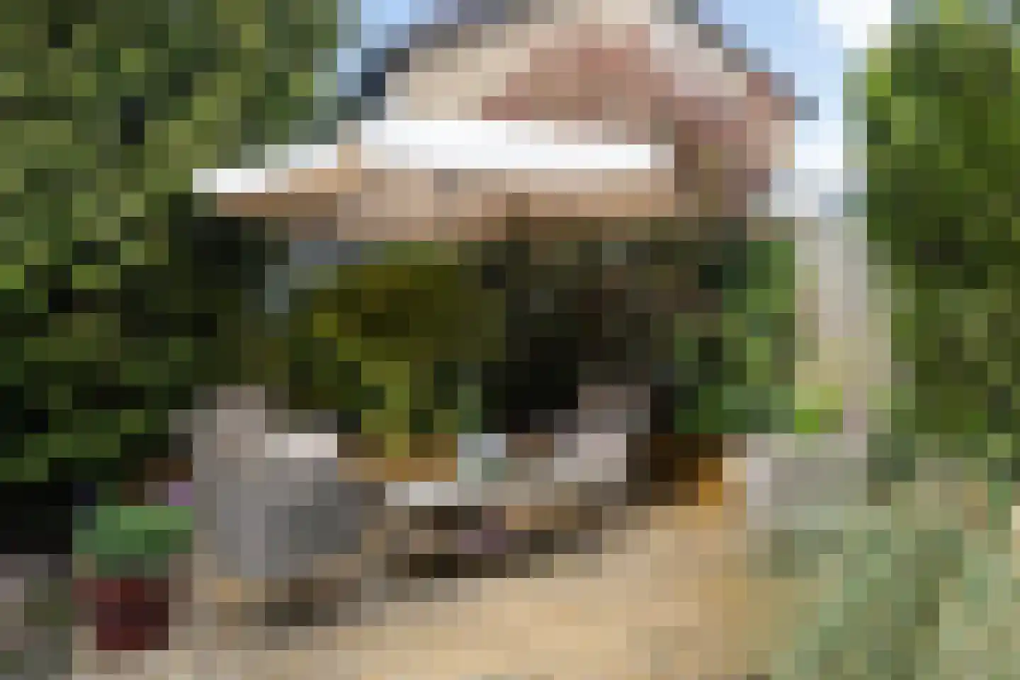 Schoonoordselaan 23 Doorn thumbnail 13