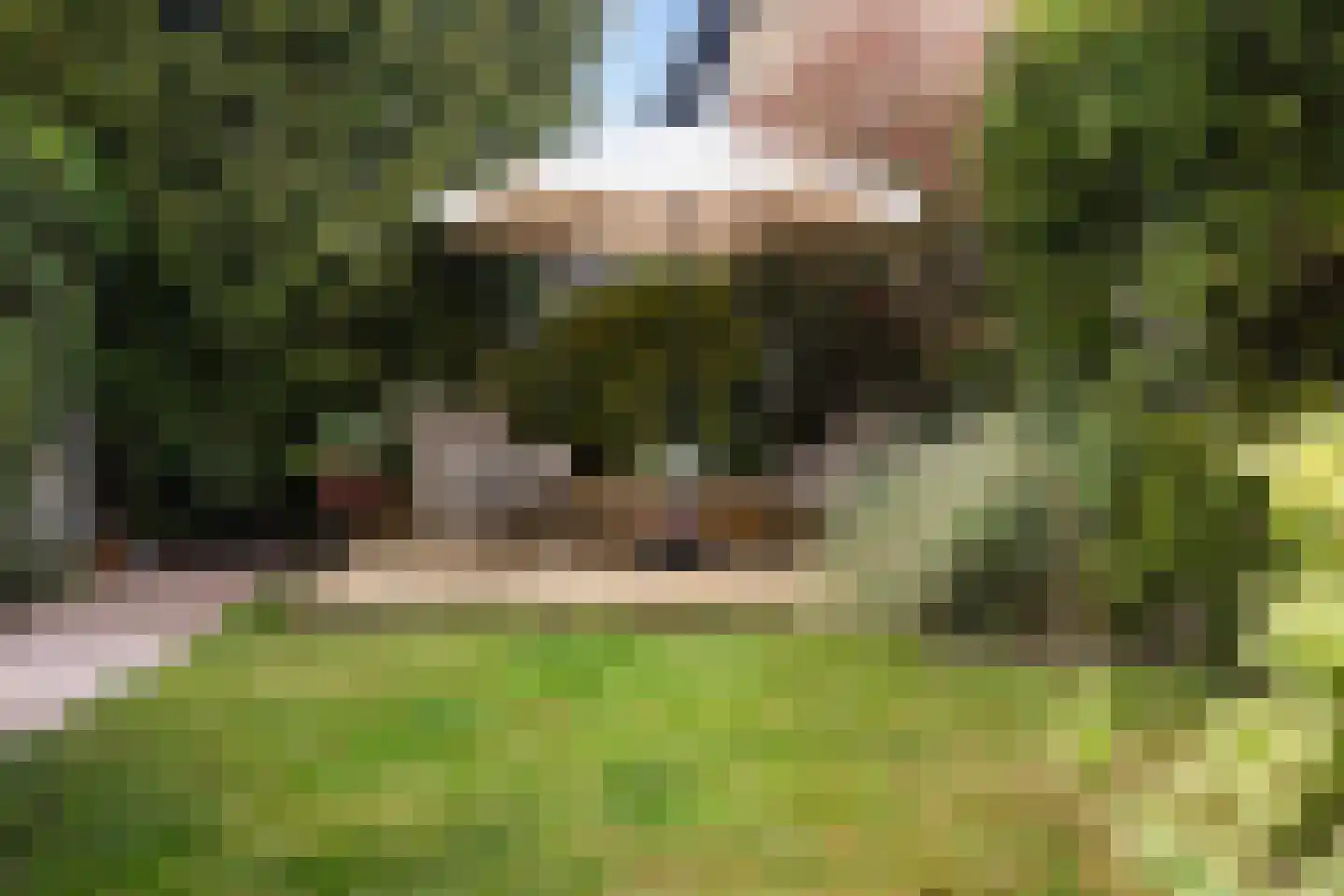 Schoonoordselaan 23 Doorn thumbnail 14