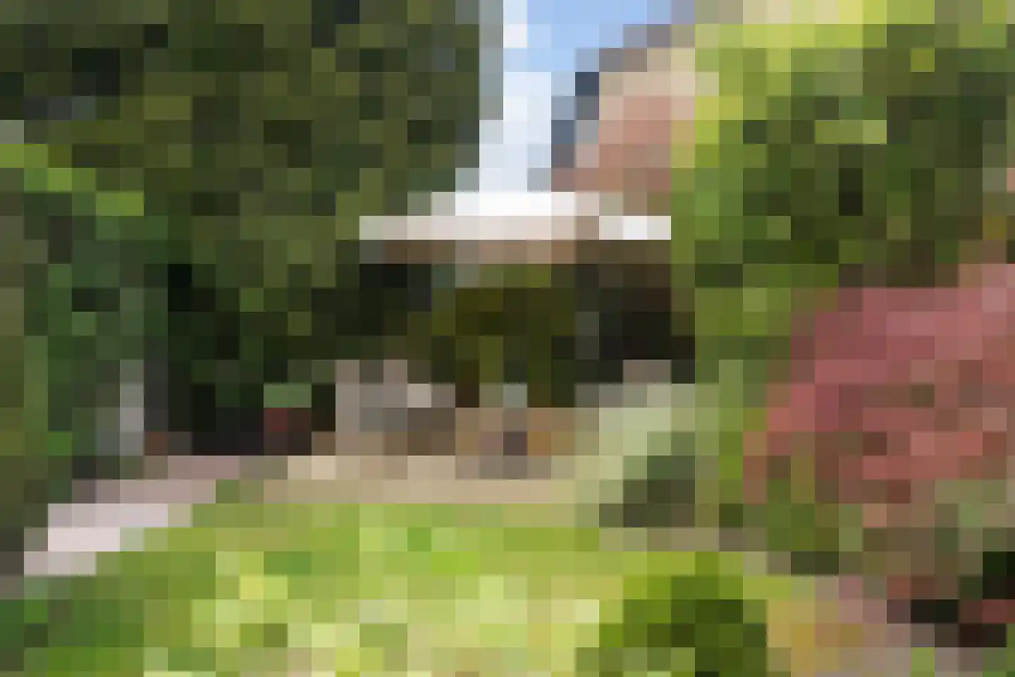 Schoonoordselaan 23 Doorn thumbnail 15