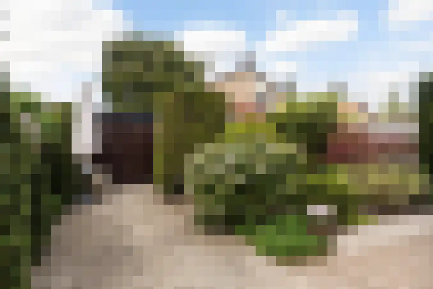 Schoonoordselaan 23 Doorn thumbnail 16