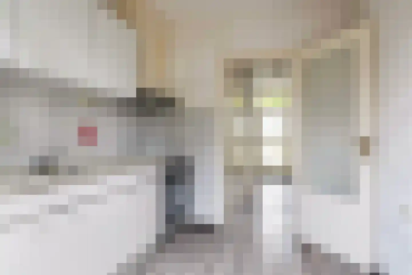 Schoonoordselaan 23 Doorn thumbnail 20