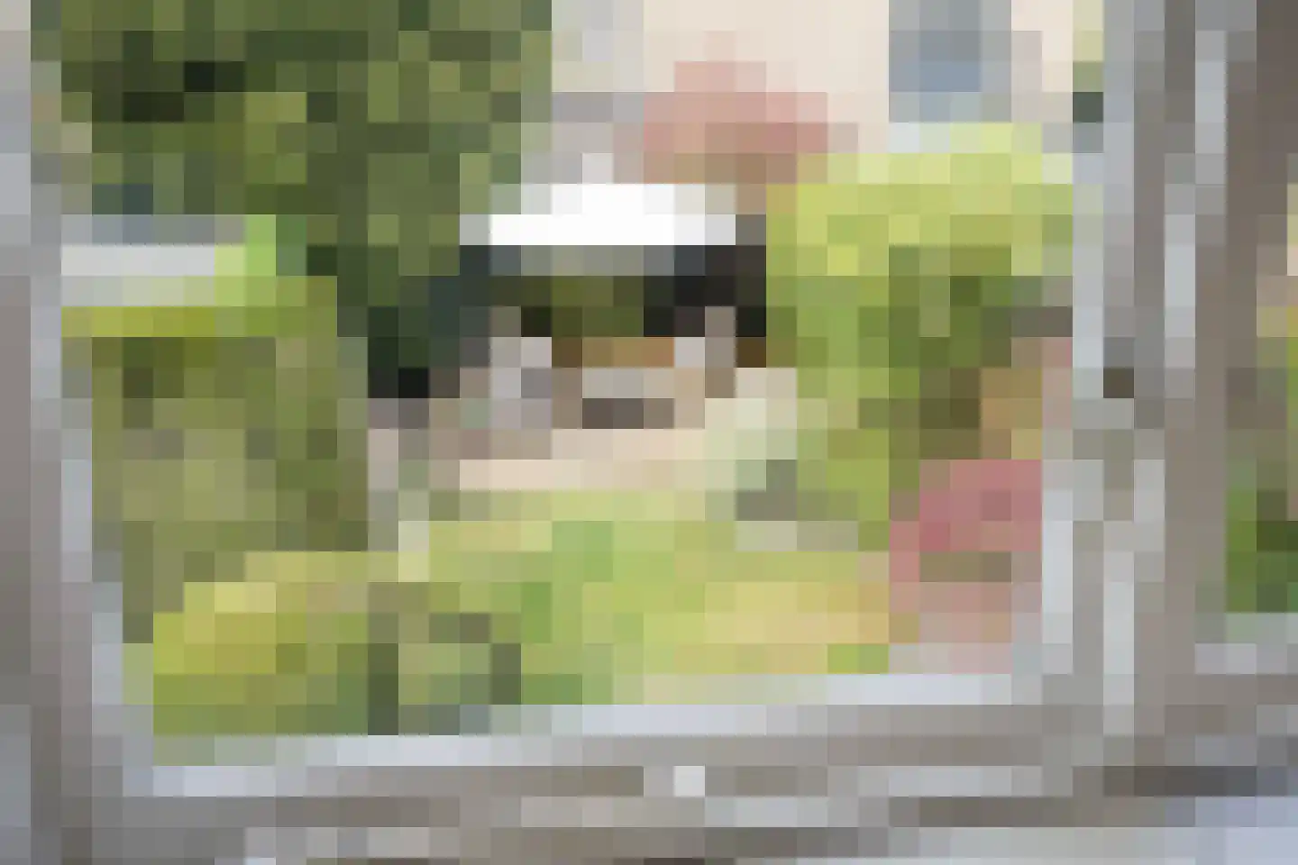 Schoonoordselaan 23 Doorn thumbnail 27
