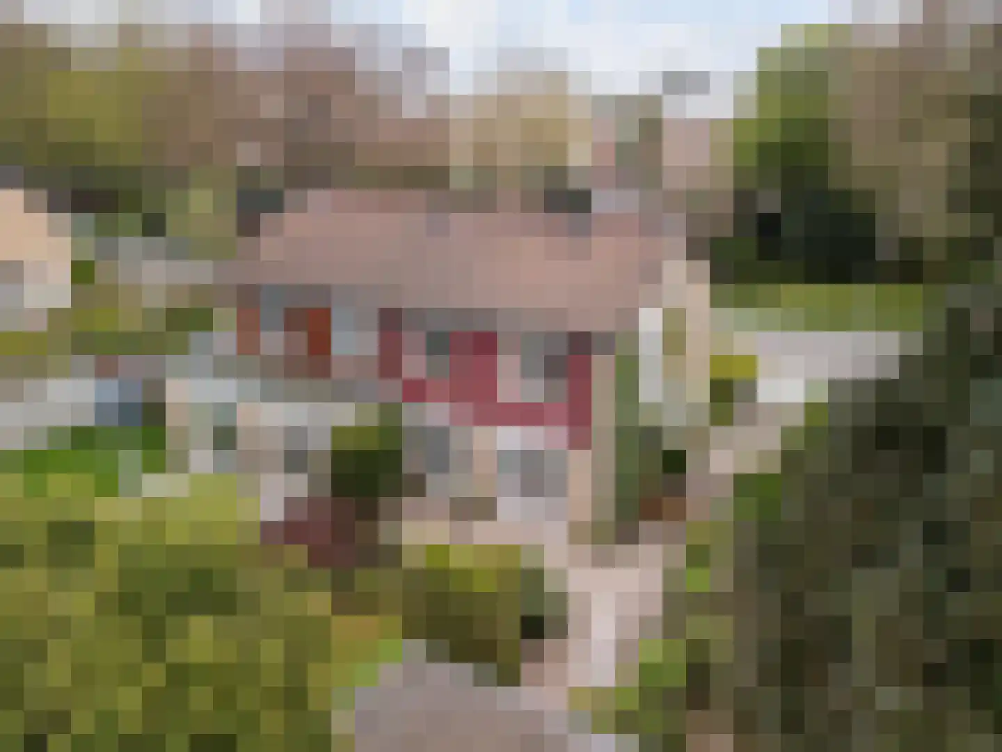 Schoonoordselaan 23 Doorn thumbnail 32
