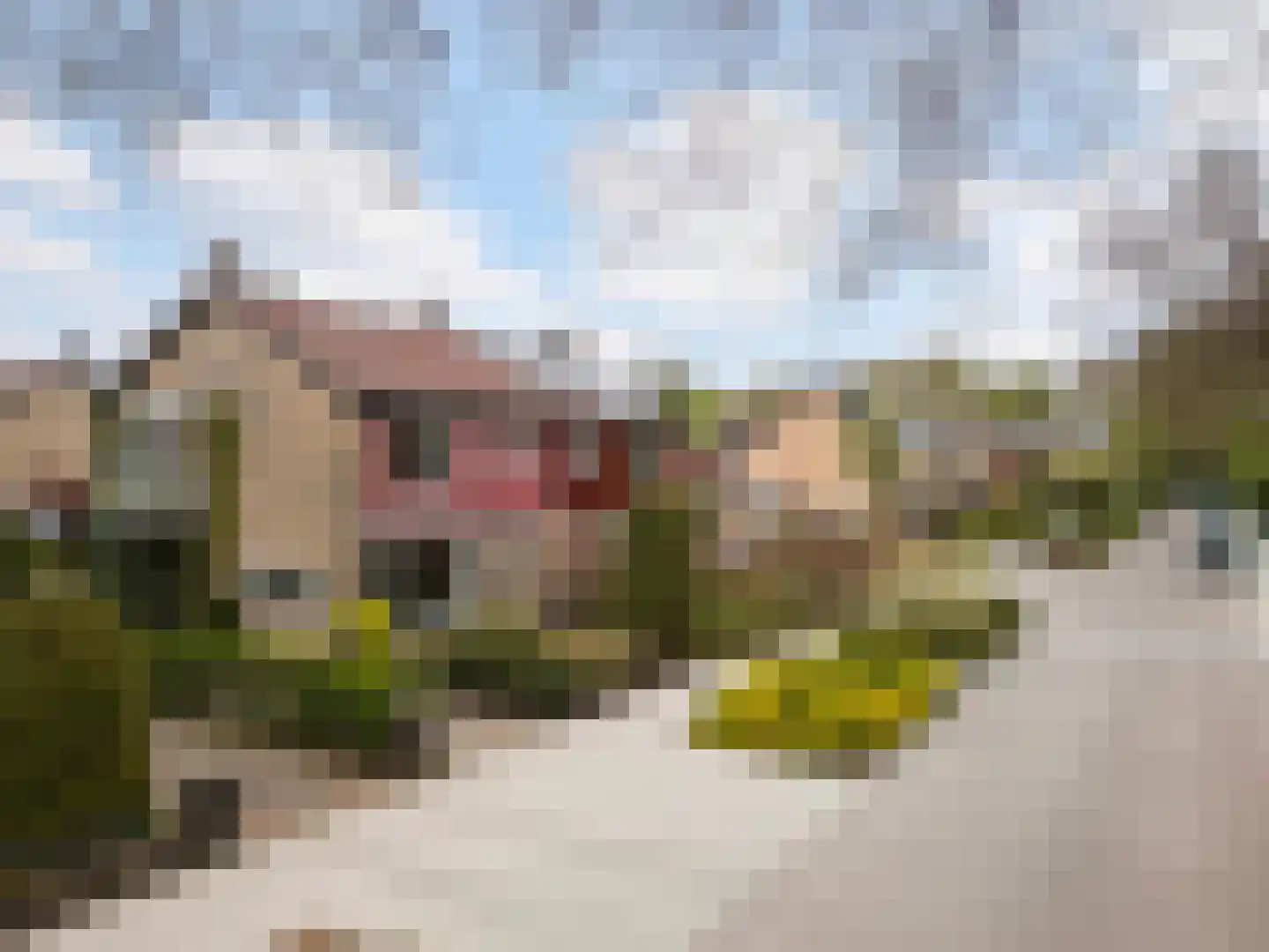 Schoonoordselaan 23 Doorn thumbnail 34