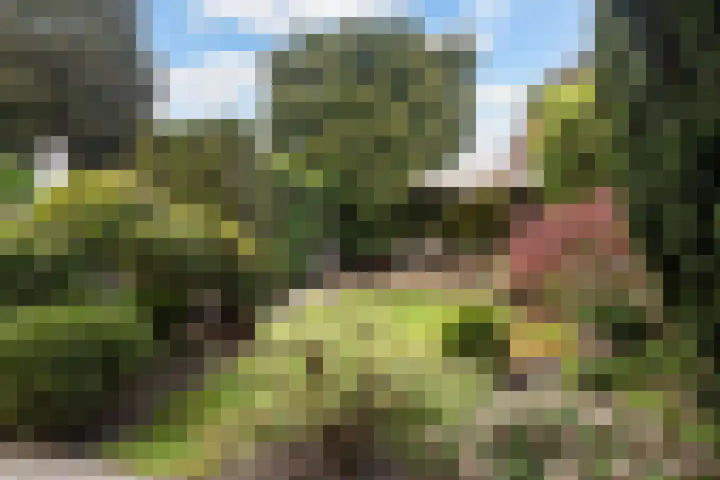 Schoonoordselaan 23 Doorn thumbnail 4