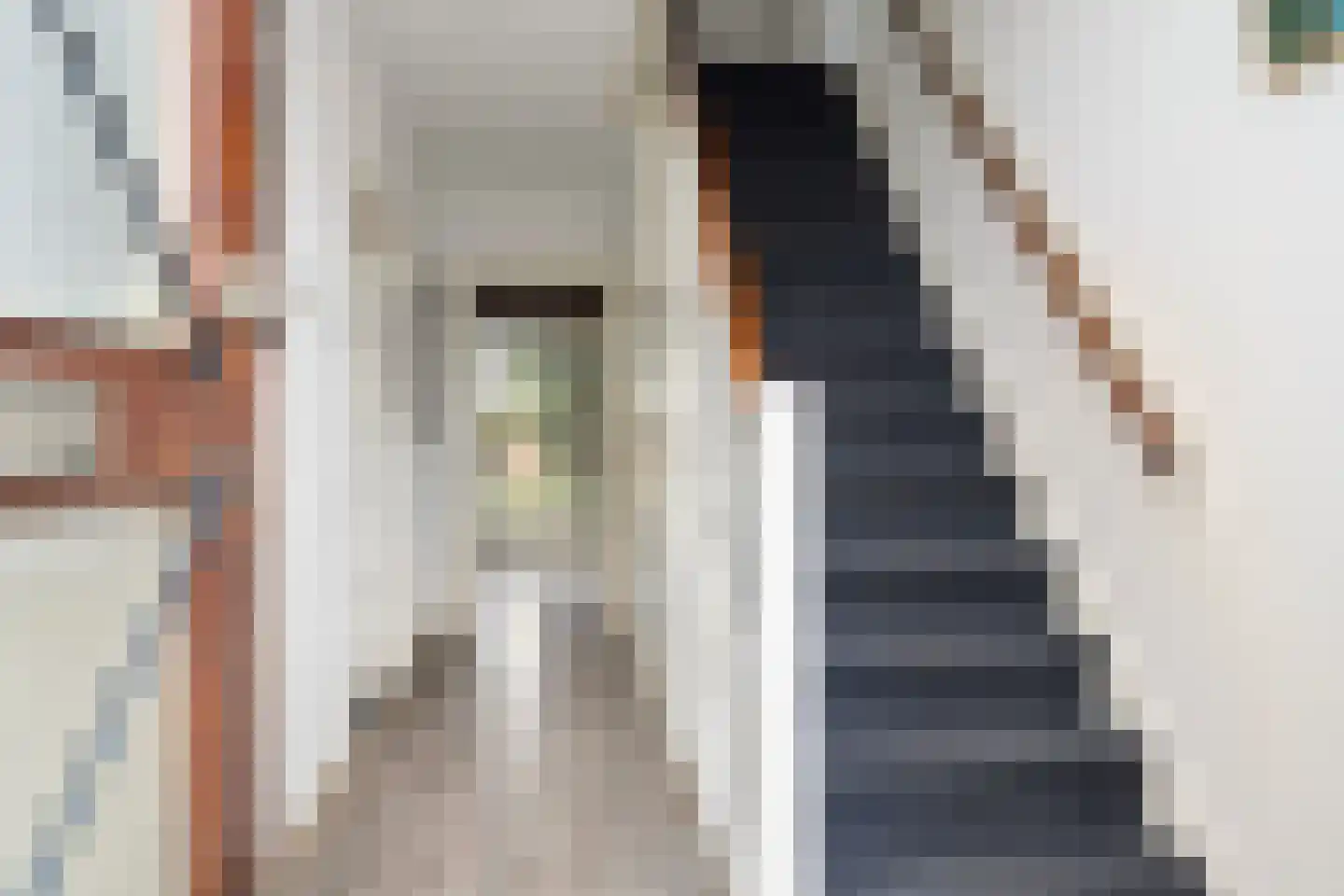 Schoonoordselaan 23 Doorn thumbnail 6