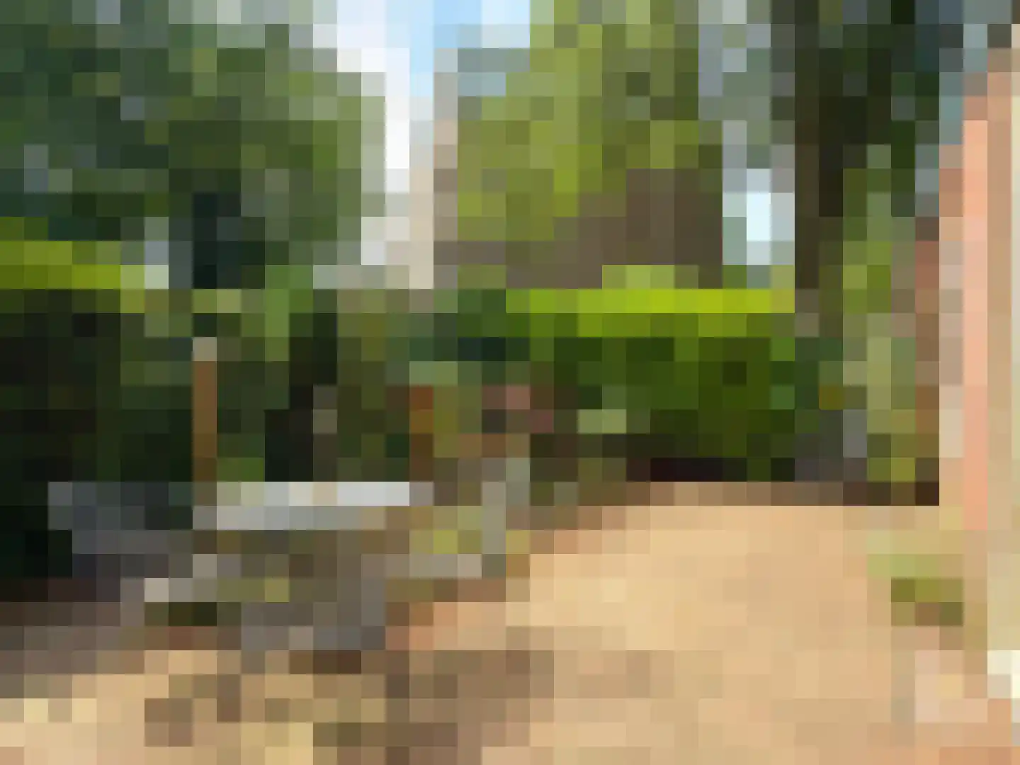 Schoonoordselaan 24 Doorn thumbnail 12