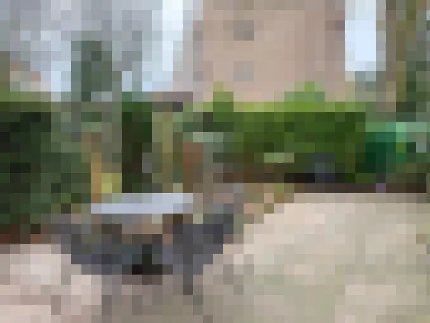 Schoonoordselaan 24 Doorn thumbnail 13