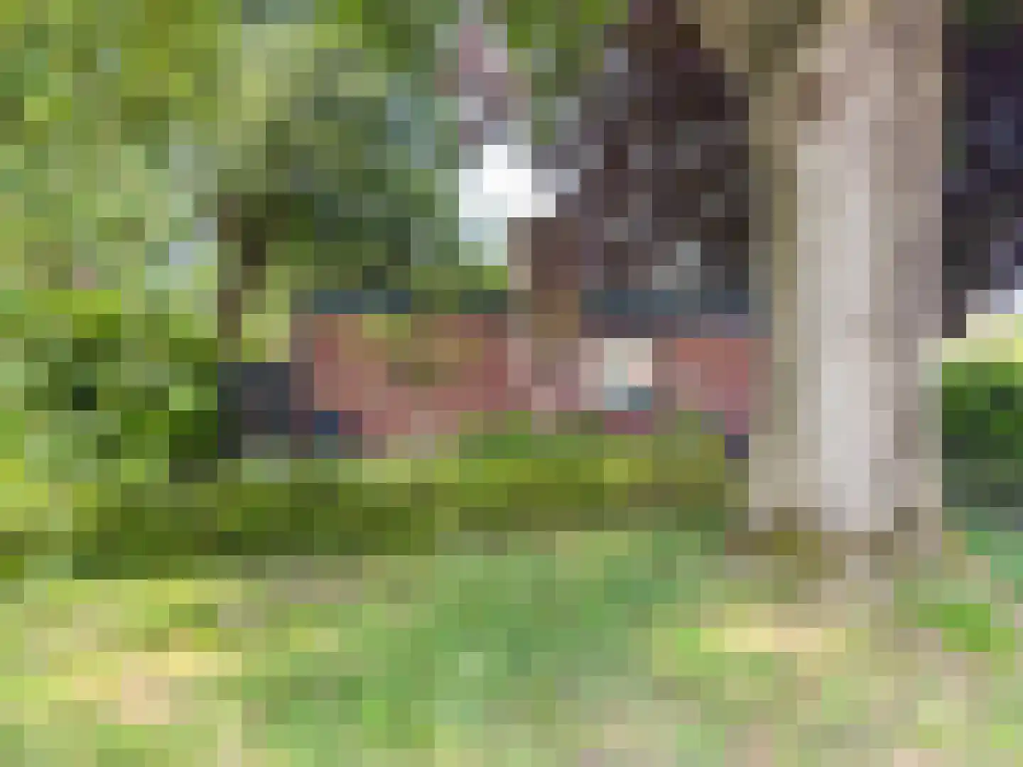 Schoonoordselaan 24 Doorn thumbnail 17