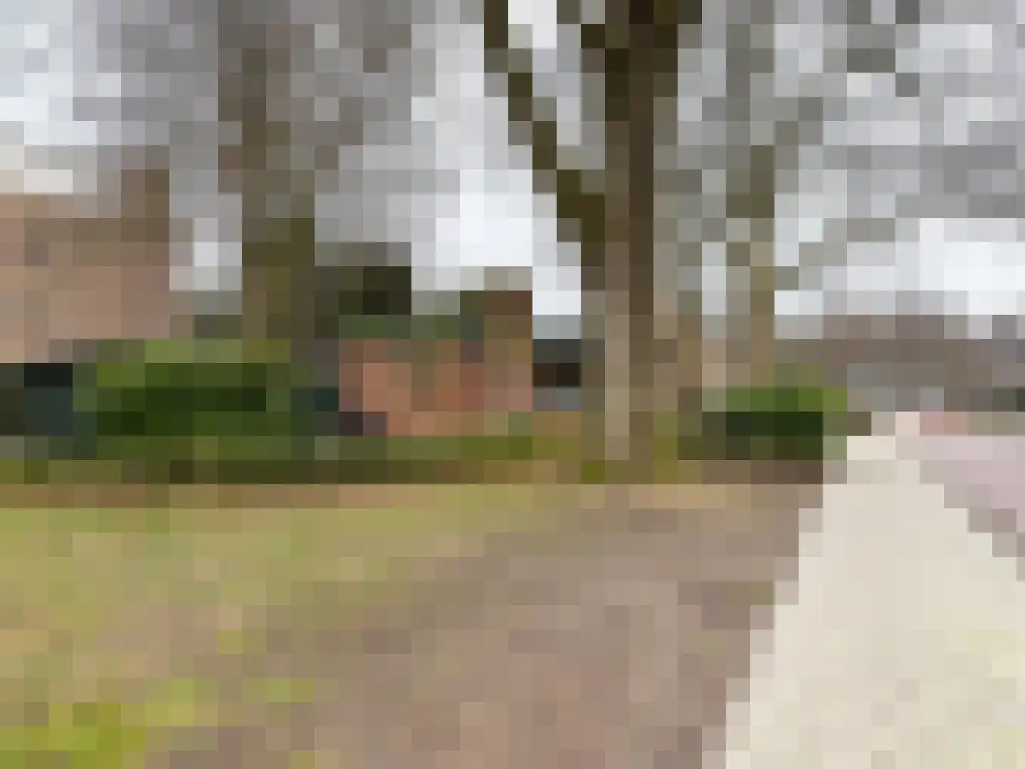 Schoonoordselaan 24 Doorn thumbnail 17