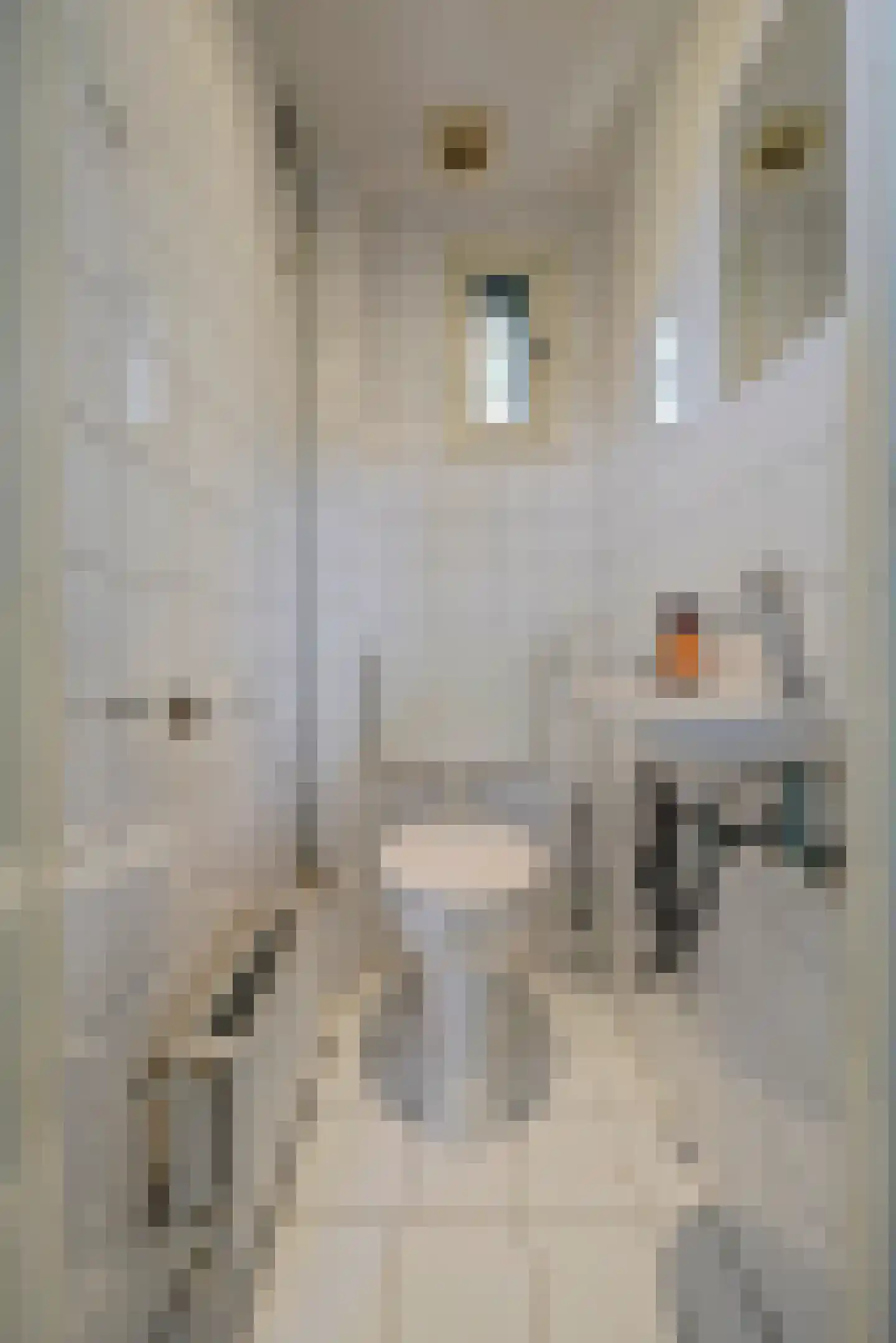 Schoonoordselaan 33 Doorn thumbnail 11