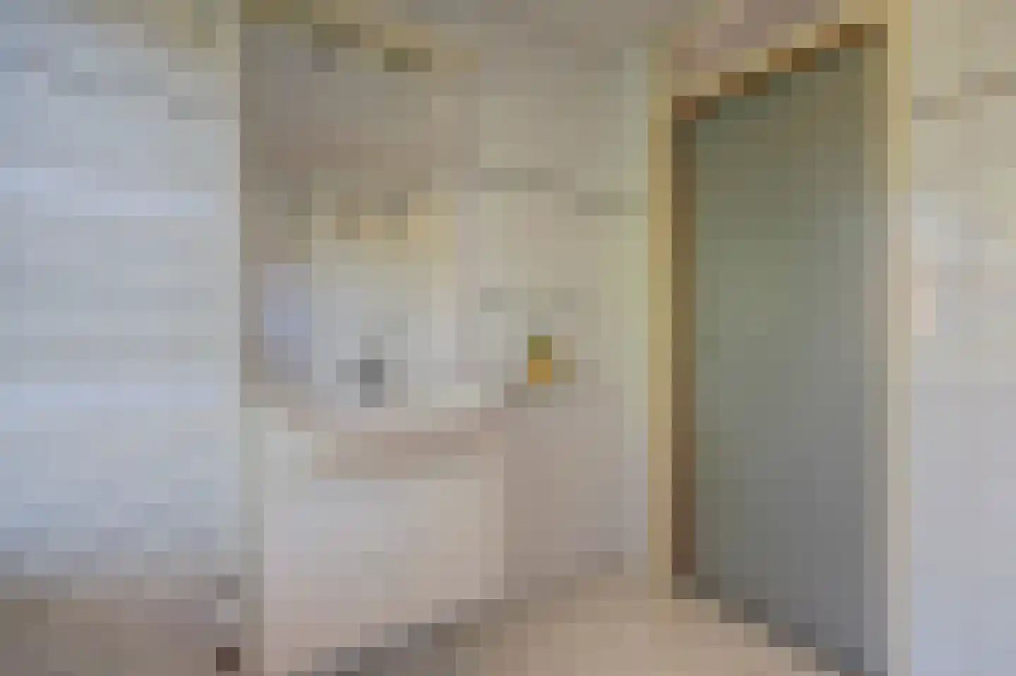 Schoonoordselaan 33 Doorn thumbnail 22