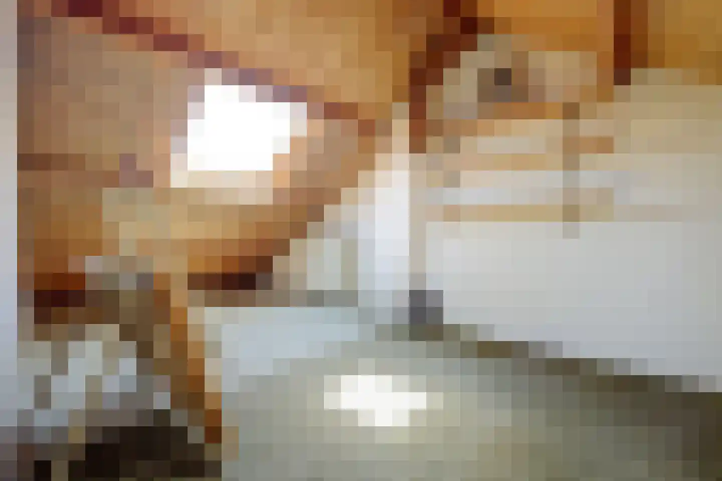 Schoonoordselaan 33 Doorn thumbnail 26