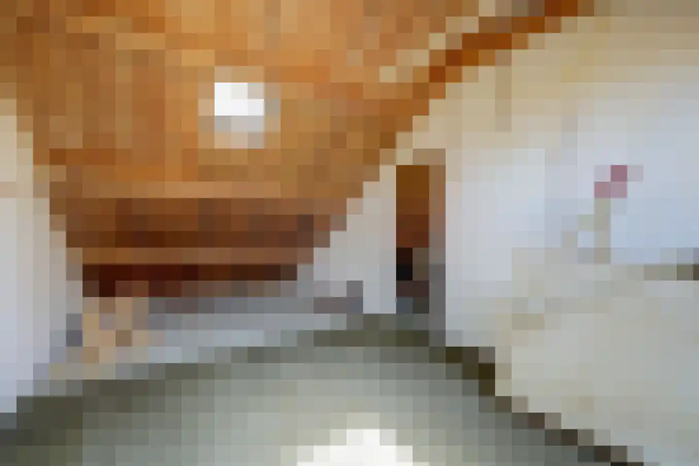 Schoonoordselaan 33 Doorn thumbnail 27