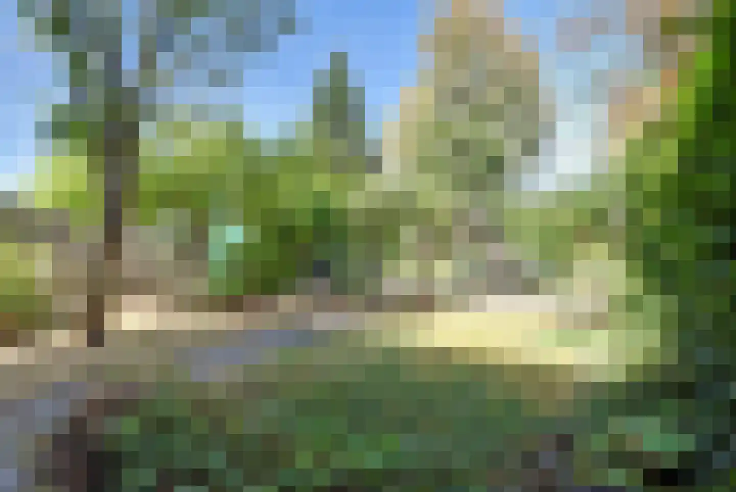 Schoonoordselaan 33 Doorn thumbnail 33