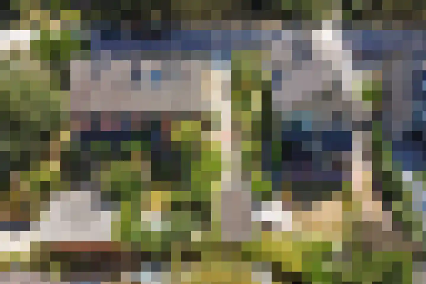 Schoonoordselaan 33 Doorn thumbnail 38
