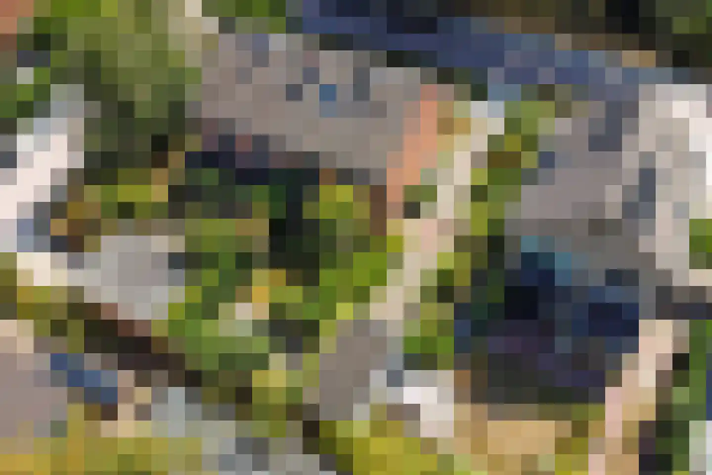 Schoonoordselaan 33 Doorn thumbnail 42