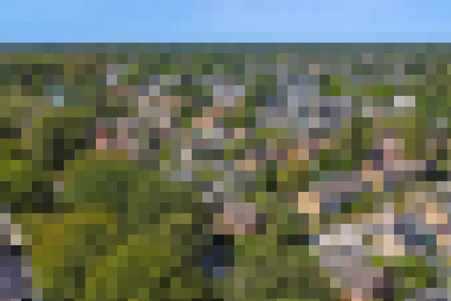 Schoonoordselaan 33 Doorn thumbnail 44