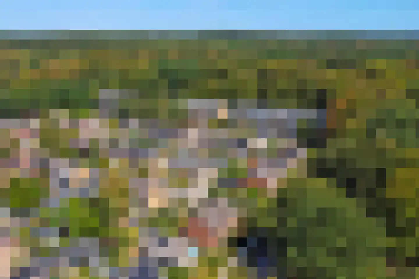 Schoonoordselaan 33 Doorn thumbnail 45