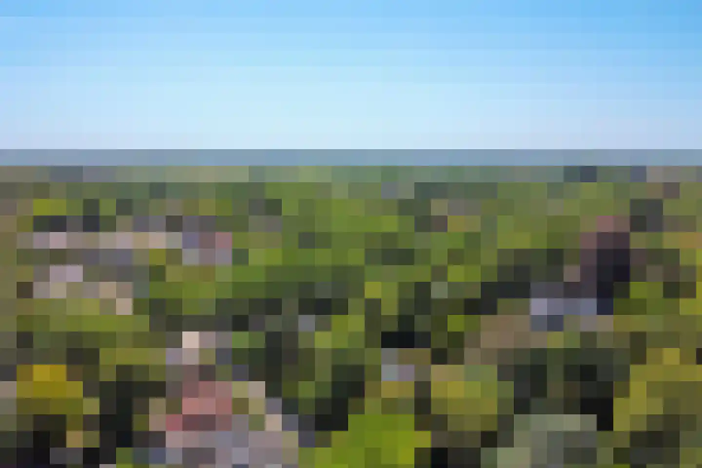 Schoonoordselaan 33 Doorn thumbnail 46