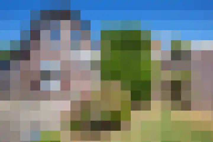 Schoonoordsingel 2 Den Burg thumbnail 14
