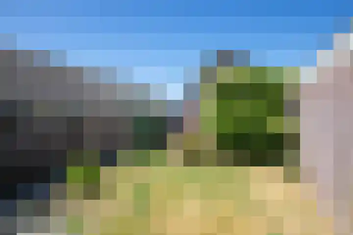 Schoonoordsingel 2 Den Burg thumbnail 16
