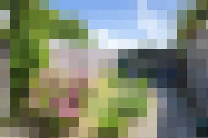 Schoonoordsingel 2 Den Burg thumbnail 17