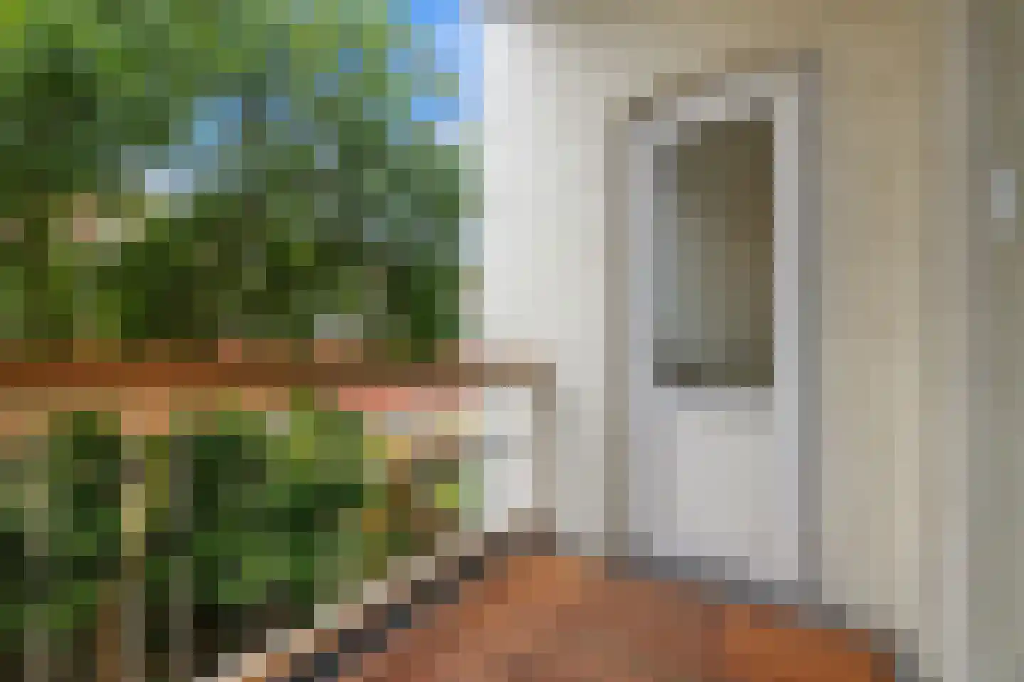 Schoonoordstraat 22 B Rotterdam thumbnail 4