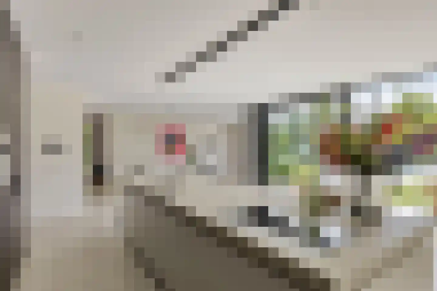 Schoonoordstraat 3 Waalre thumbnail 13