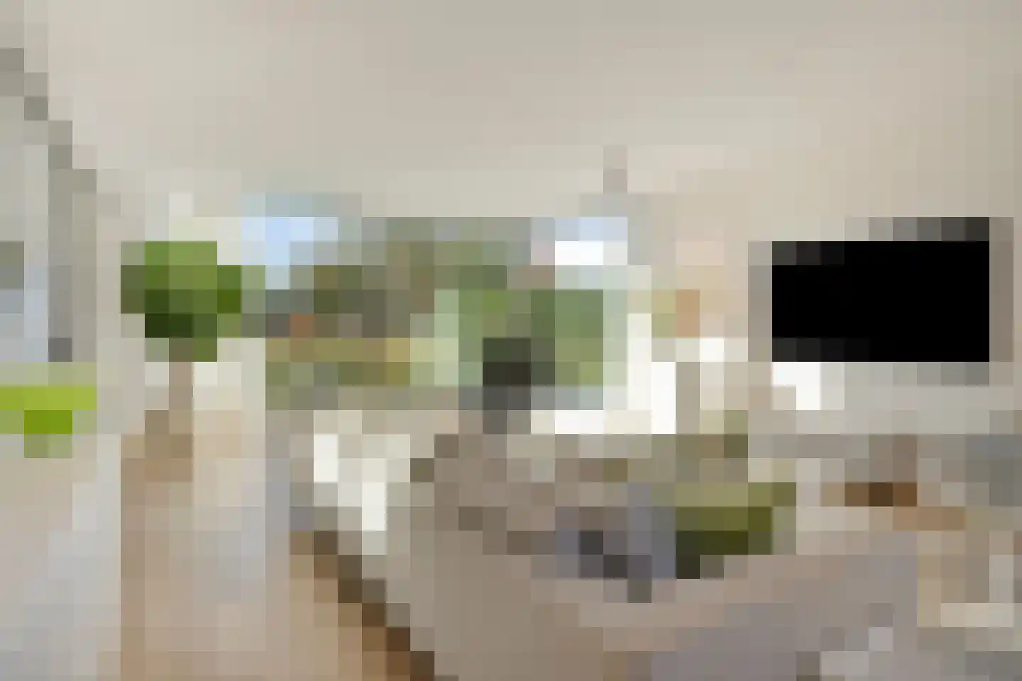 Schoonoordstraat 3 Waalre thumbnail 13