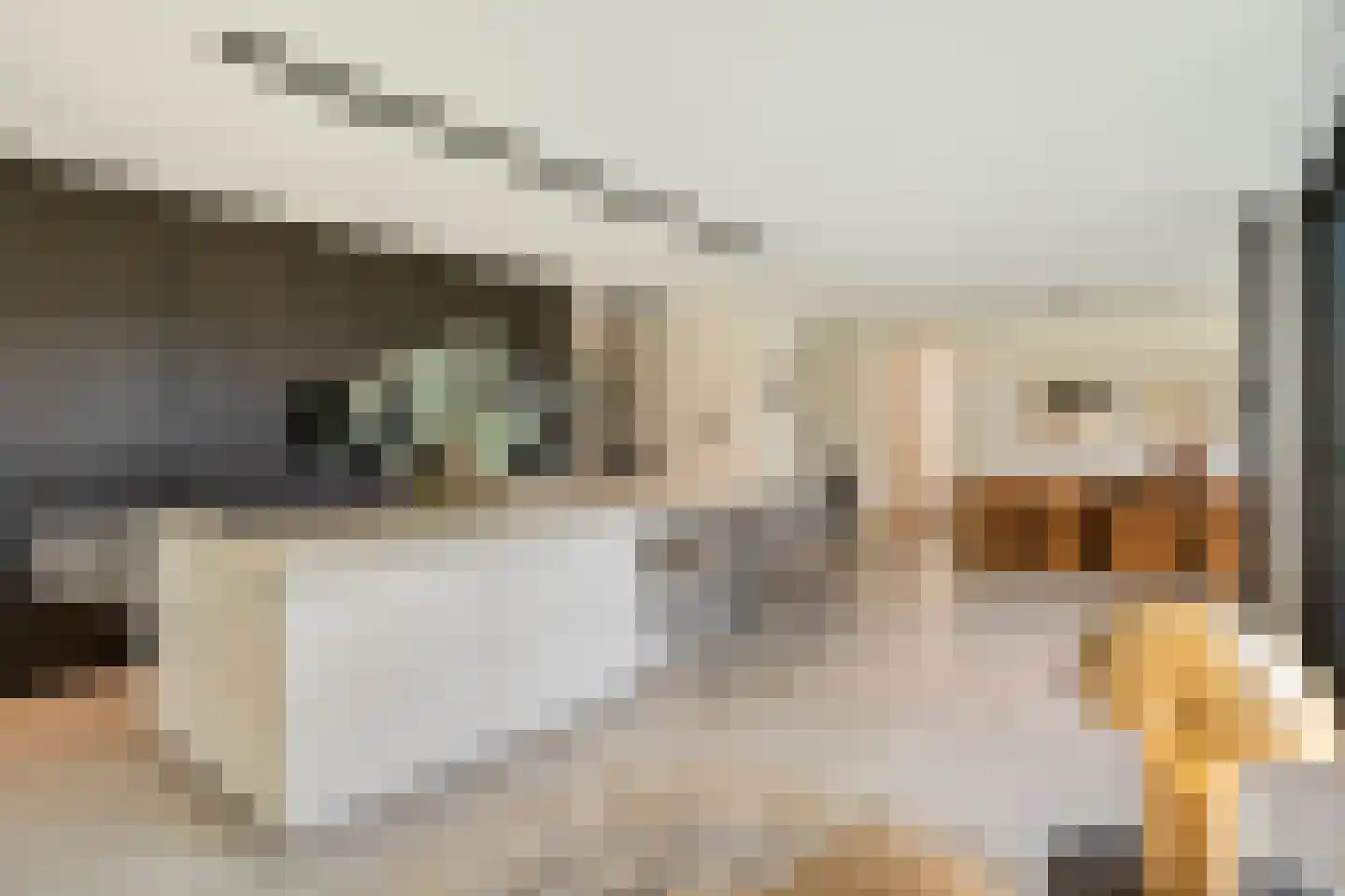 Schoonoordstraat 3 Waalre thumbnail 15