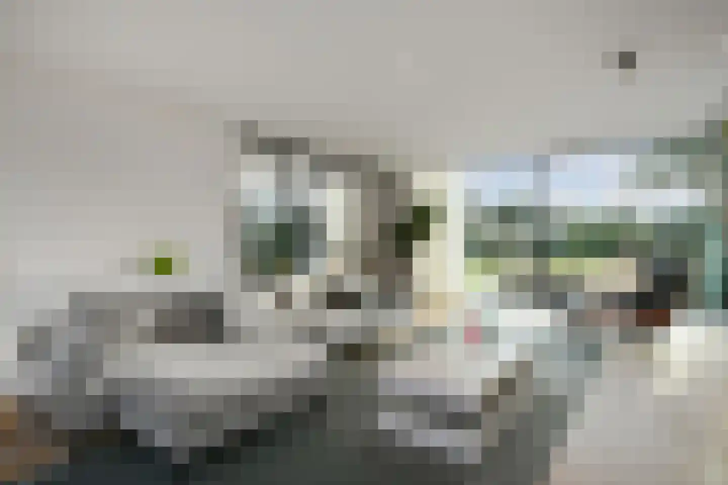 Schoonoordstraat 3 Waalre thumbnail 18