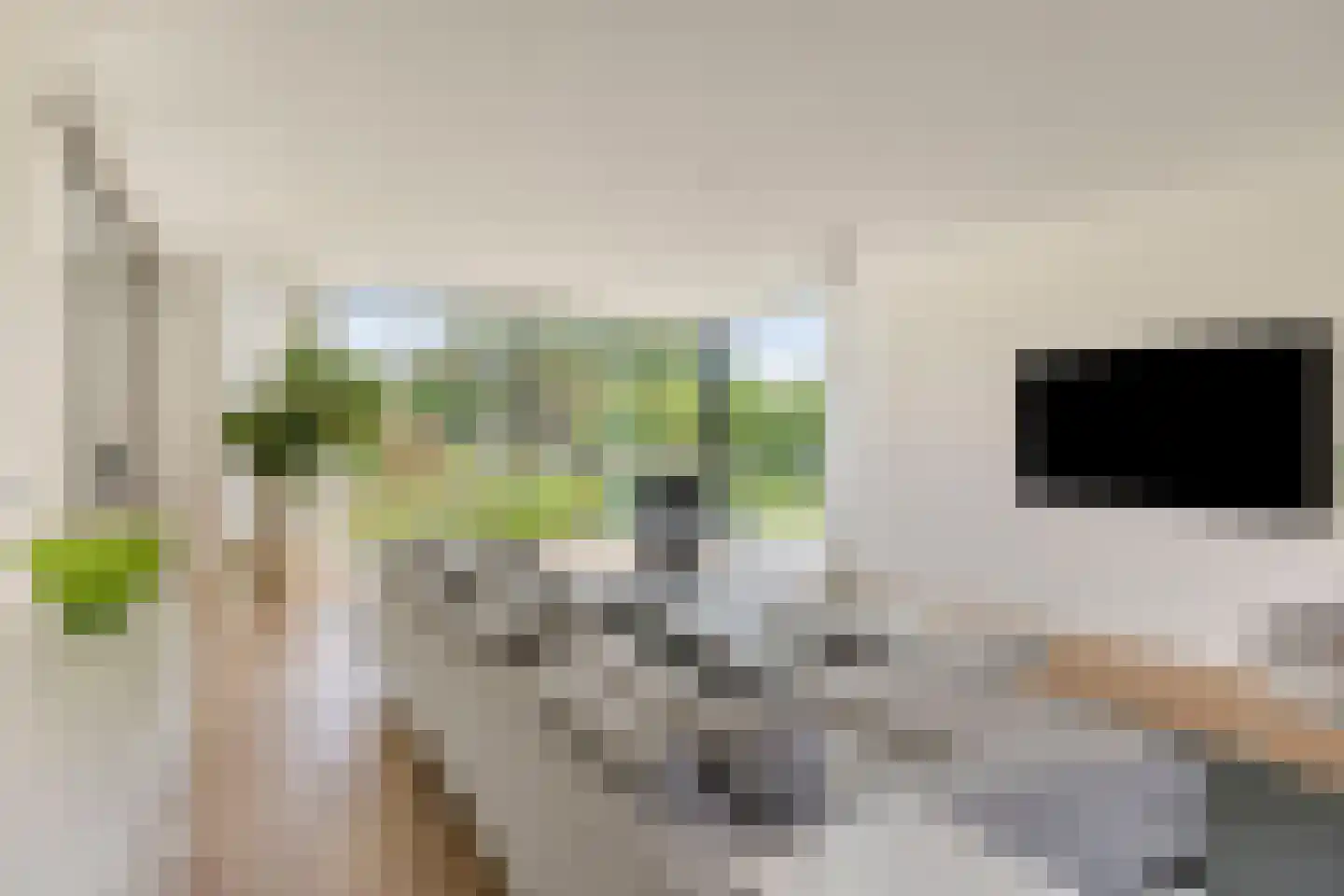 Schoonoordstraat 3 Waalre thumbnail 19