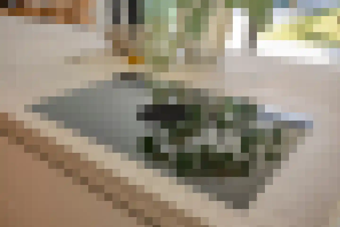 Schoonoordstraat 3 Waalre thumbnail 20