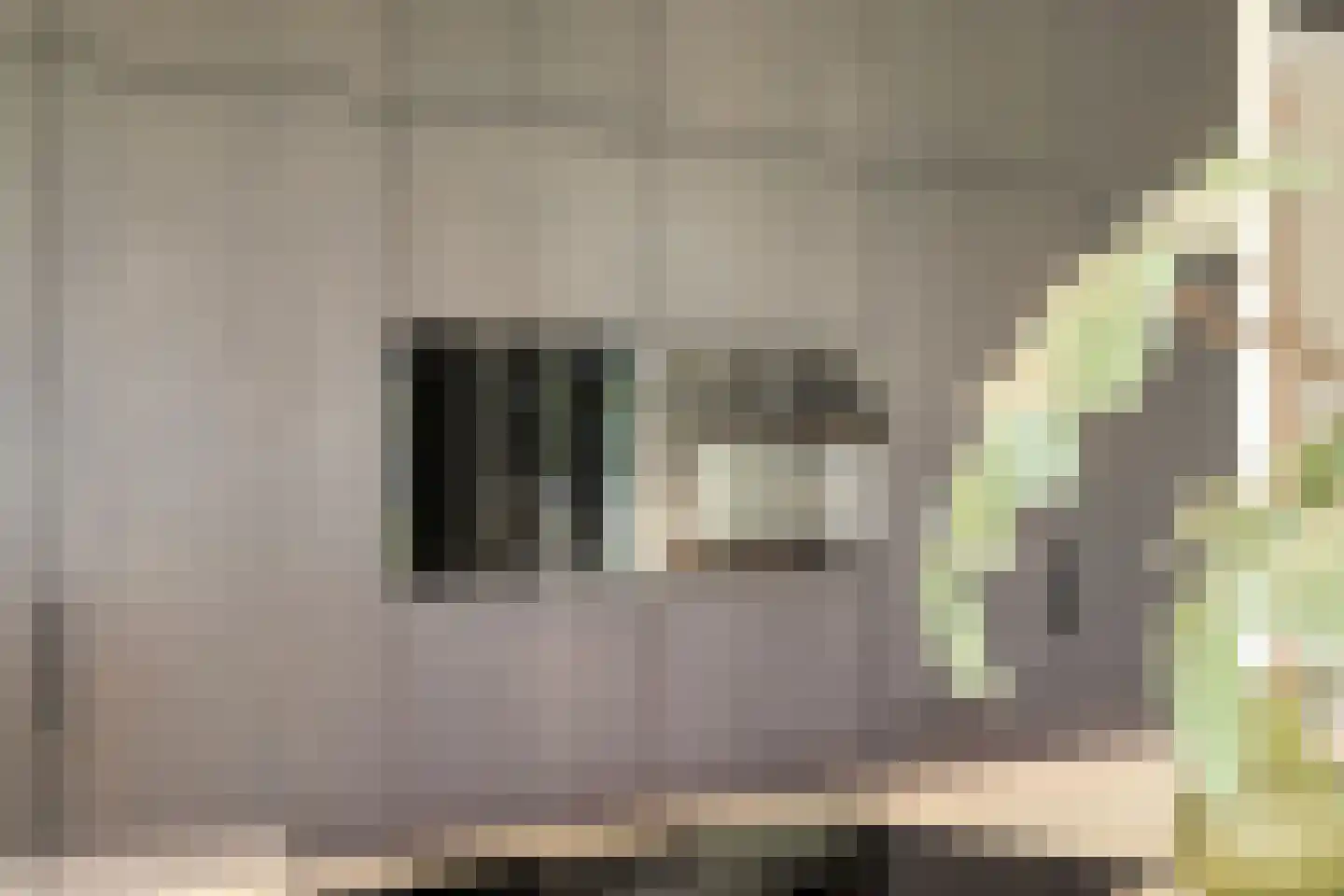 Schoonoordstraat 3 Waalre thumbnail 22