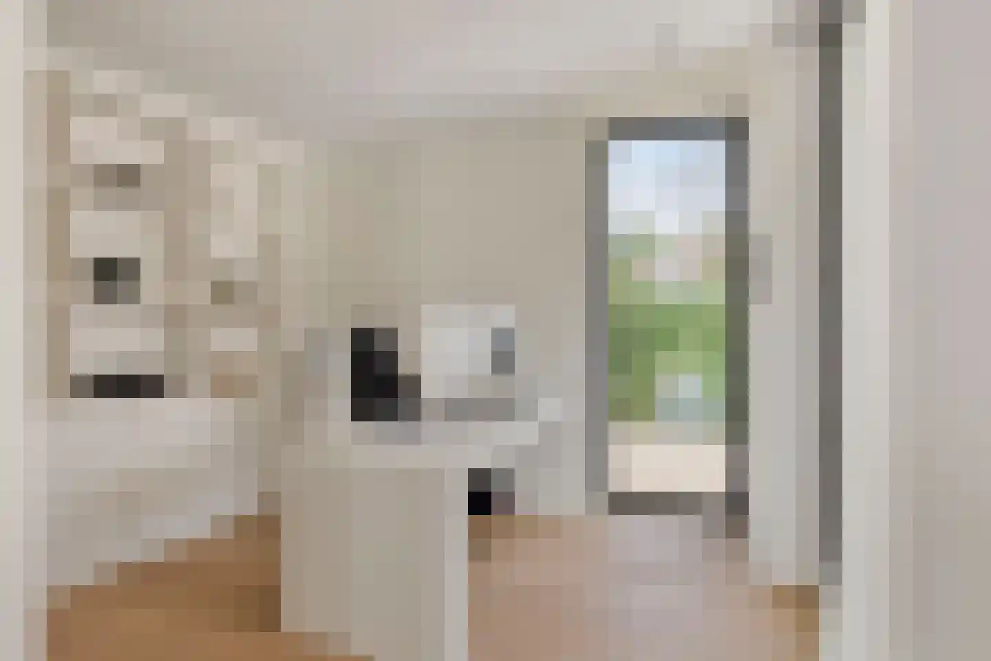 Schoonoordstraat 3 Waalre thumbnail 22