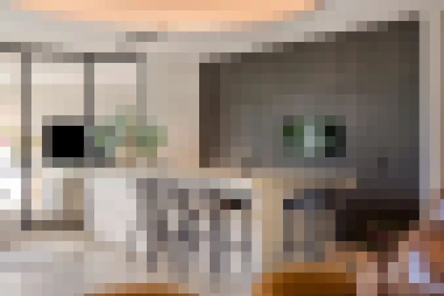 Schoonoordstraat 3 Waalre thumbnail 23