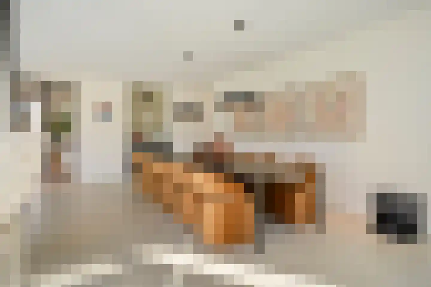 Schoonoordstraat 3 Waalre thumbnail 26