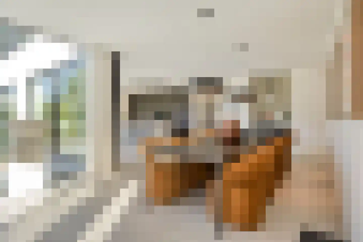Schoonoordstraat 3 Waalre thumbnail 27