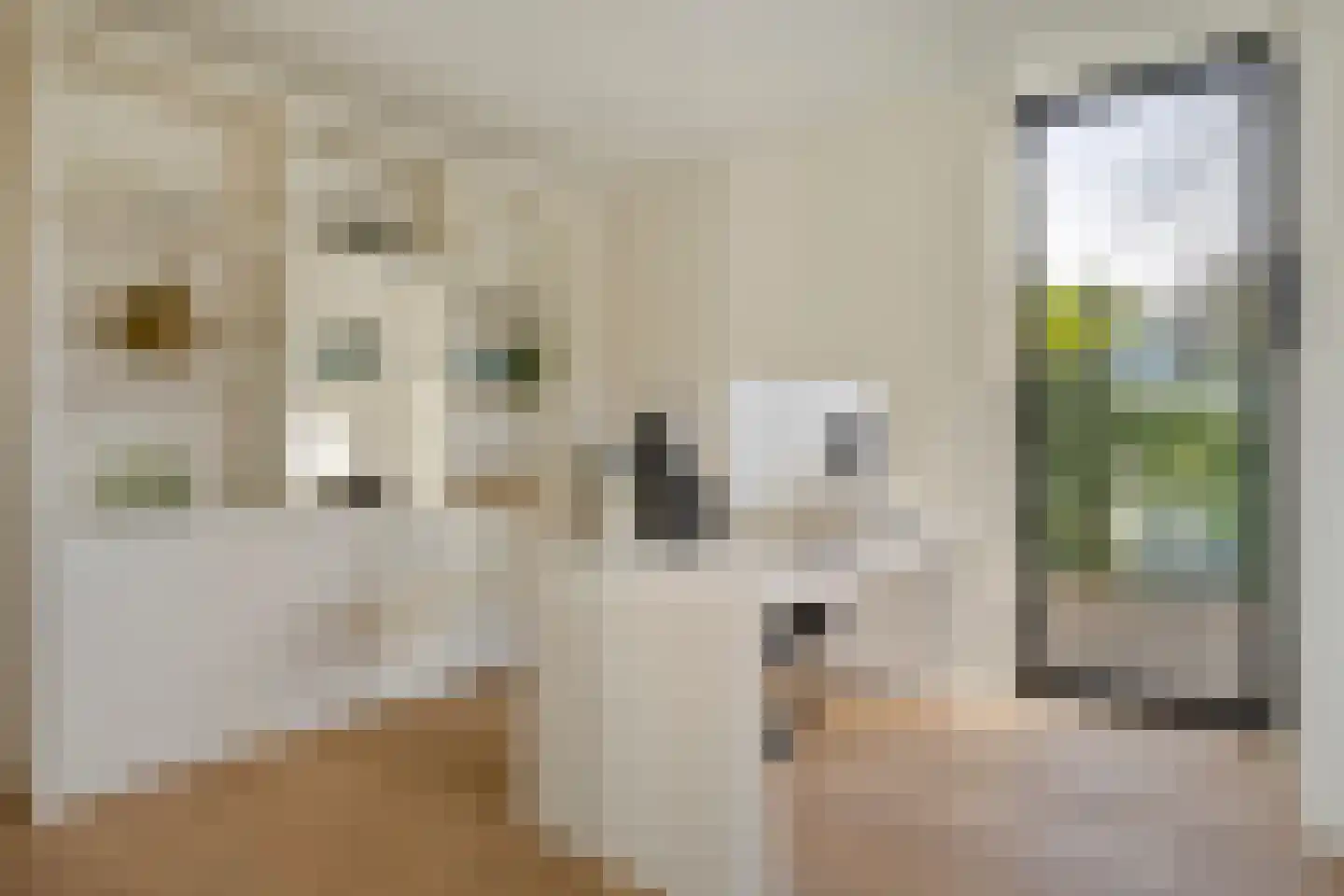 Schoonoordstraat 3 Waalre thumbnail 31