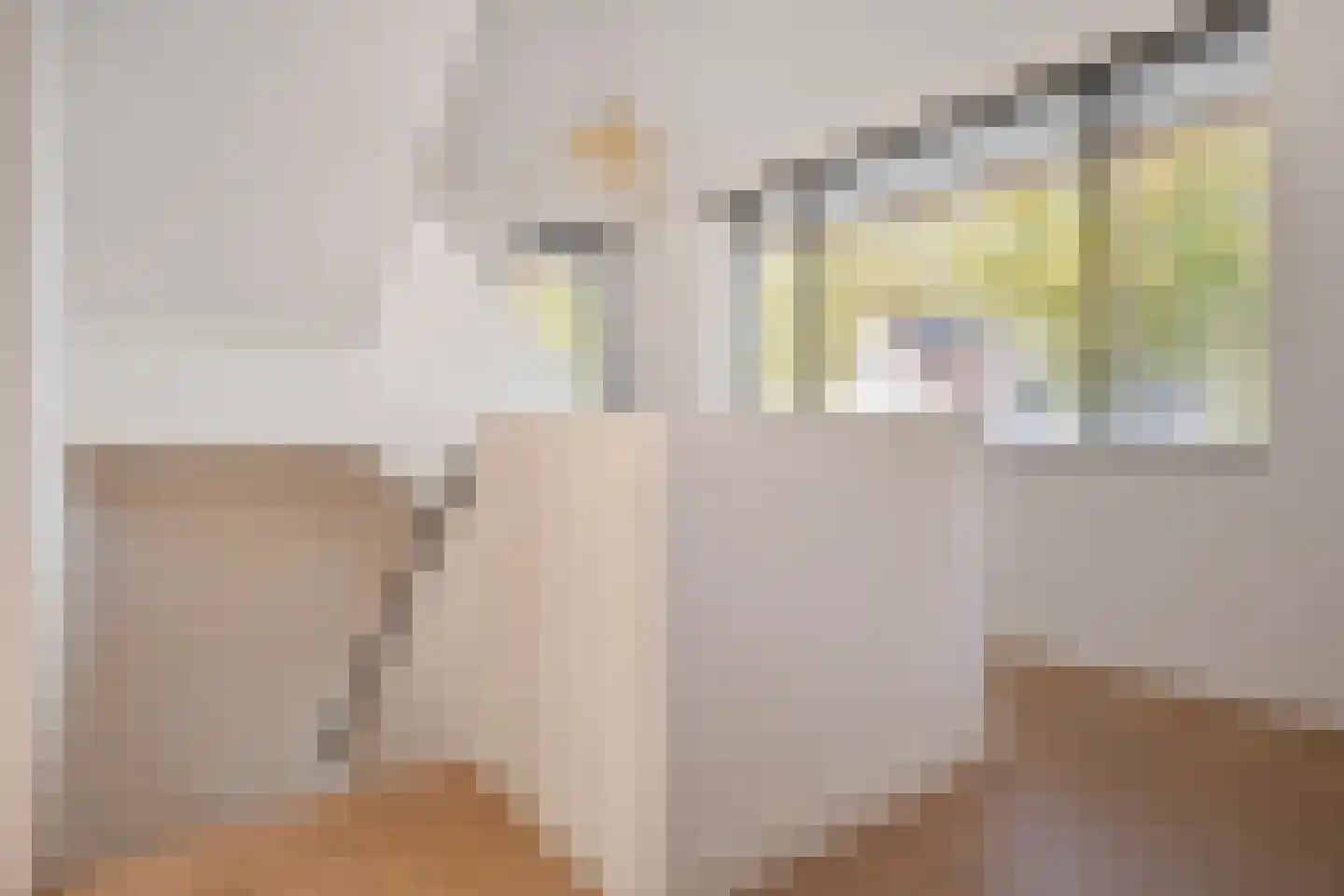 Schoonoordstraat 3 Waalre thumbnail 35