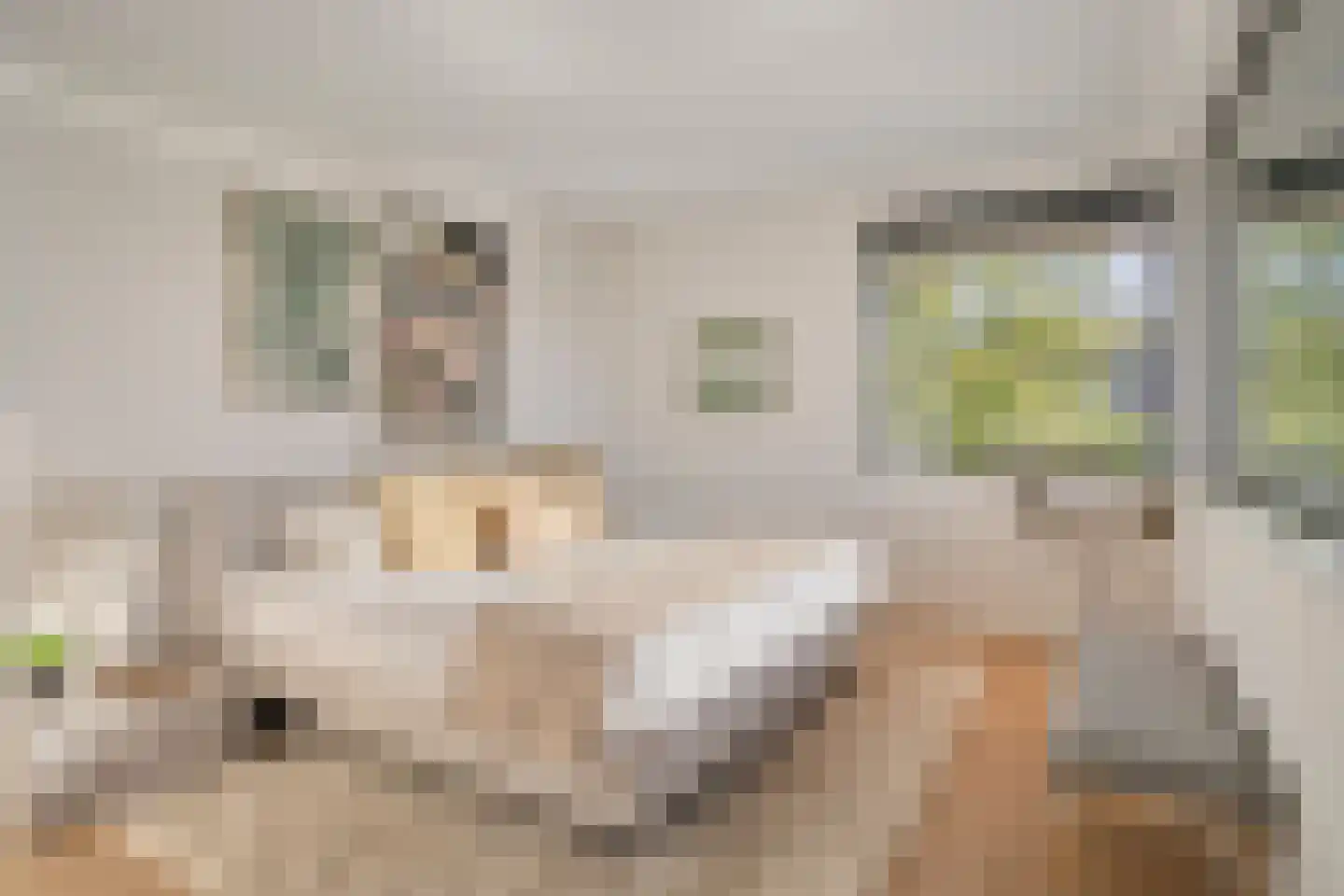 Schoonoordstraat 3 Waalre thumbnail 37