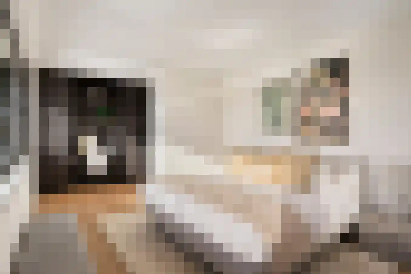 Schoonoordstraat 3 Waalre thumbnail 38