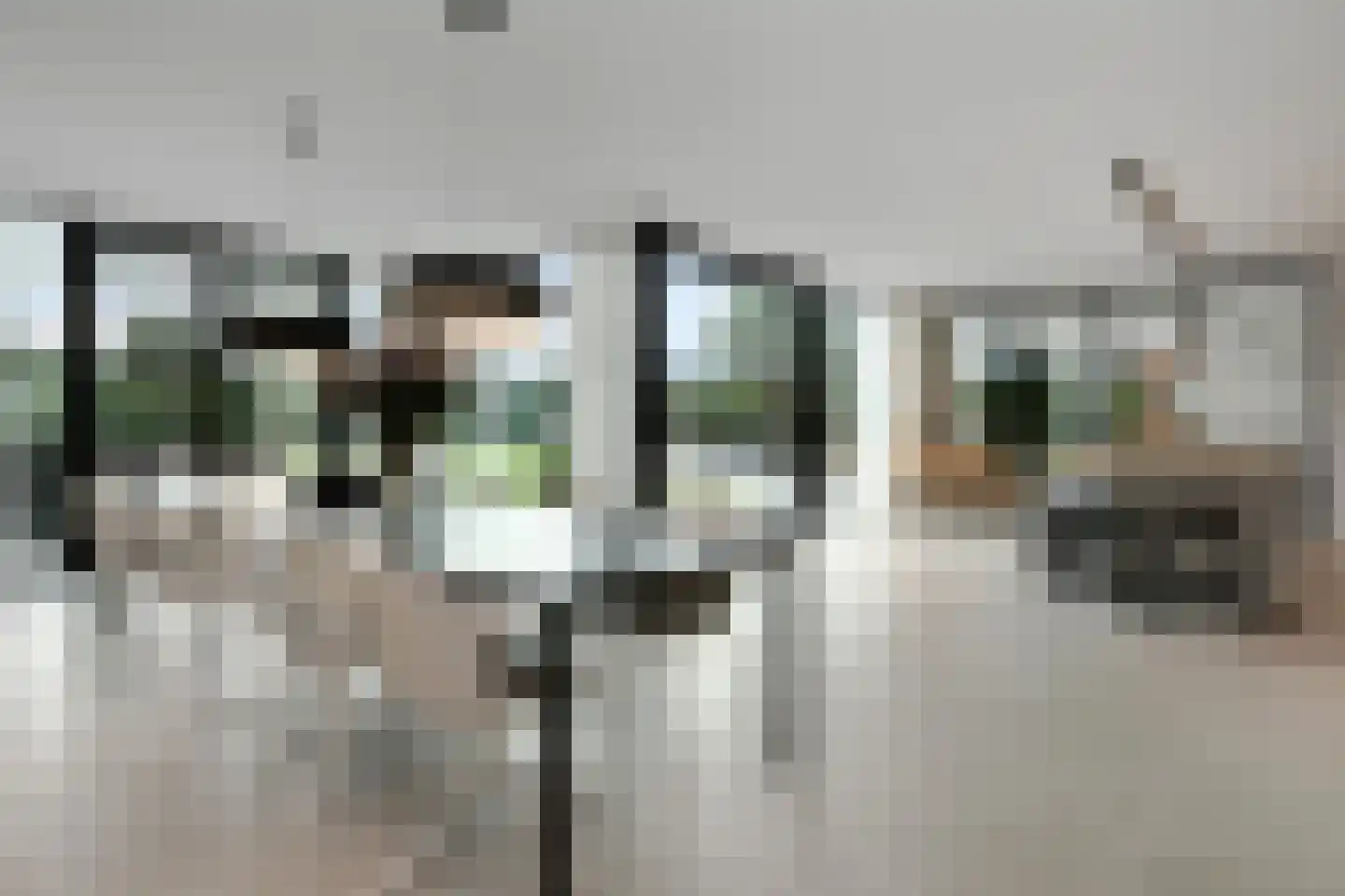 Schoonoordstraat 3 Waalre thumbnail 4