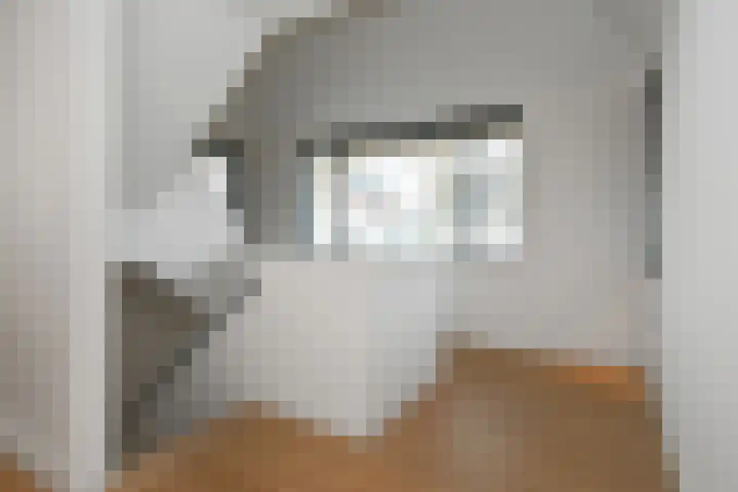 Schoonoordstraat 3 Waalre thumbnail 40