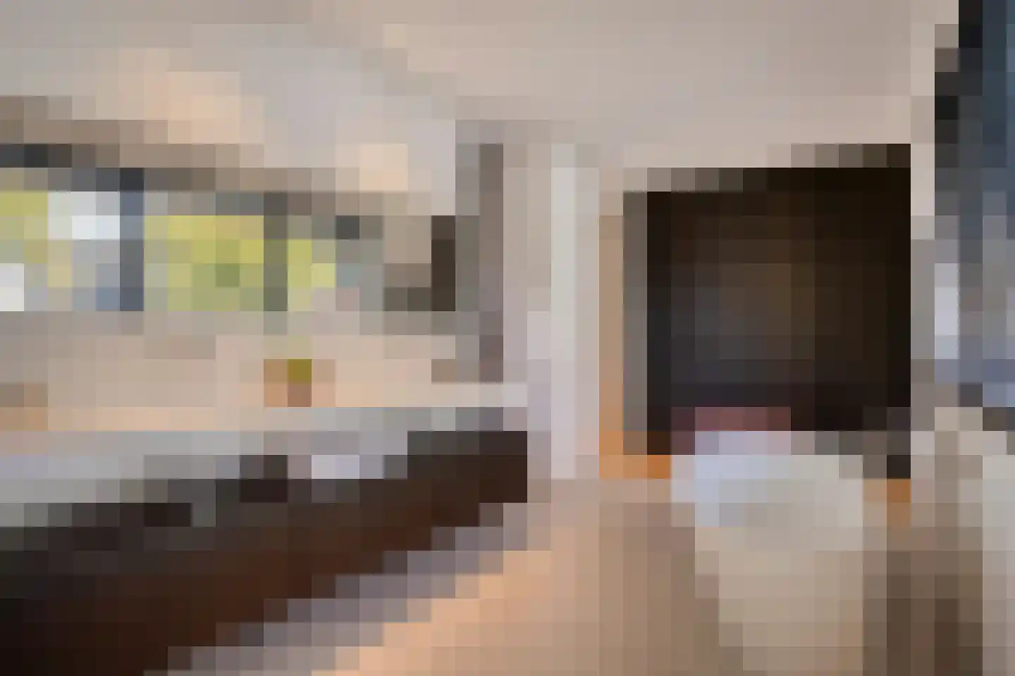 Schoonoordstraat 3 Waalre thumbnail 41
